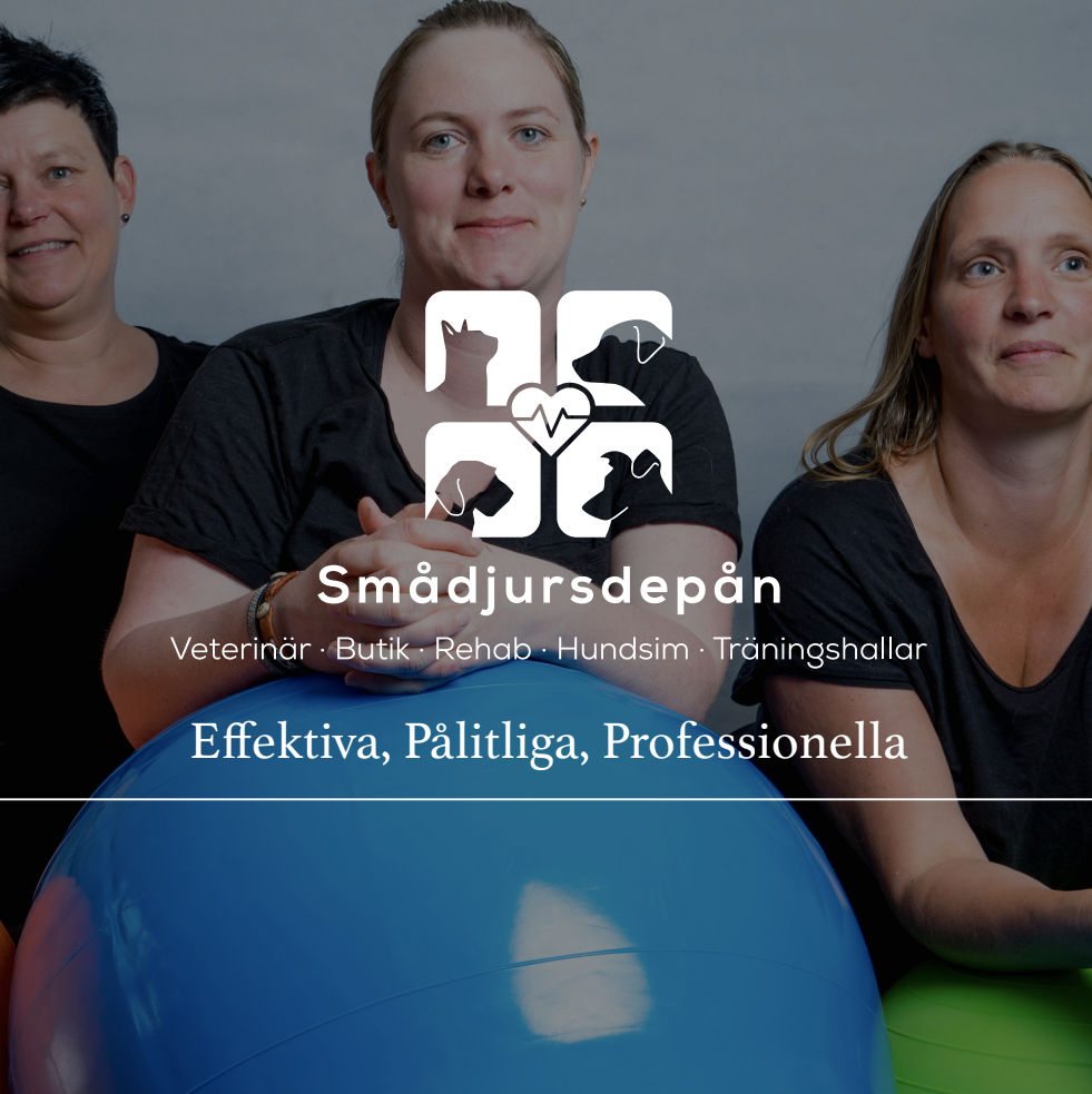 Art Direction, digital marketing, optimising website for Smådjursdepån